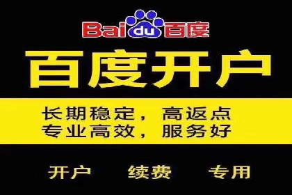 SEM推广实战：案例分析与优化